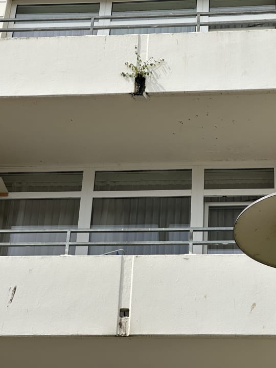 Außenansicht Ferienwohnungen Ferienpark Weissenhäuser Strand