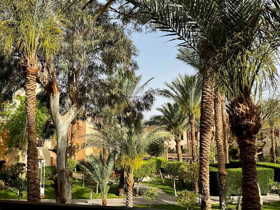 Gartenanlage Jaz Makadi Oasis Resort