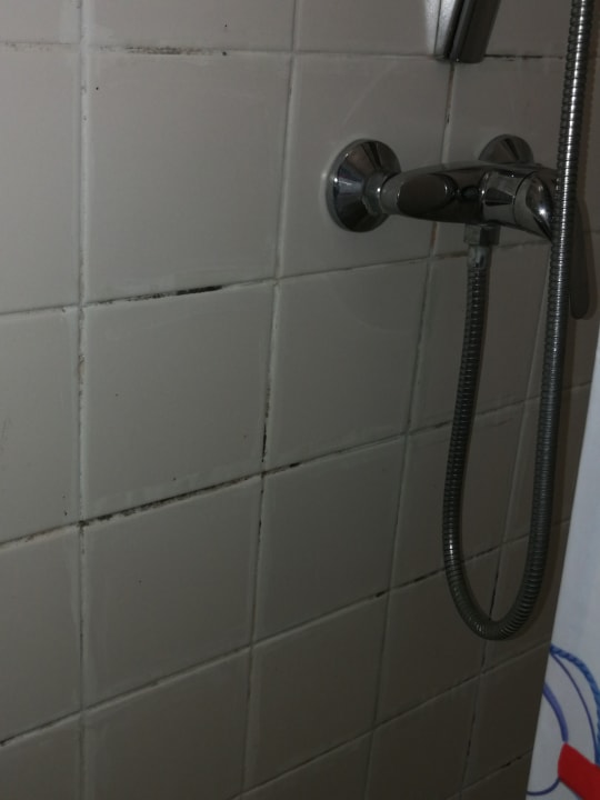 Zimmer Hotel Holland Lodge