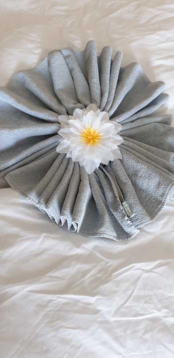 Zimmer GRIFID Vistamar