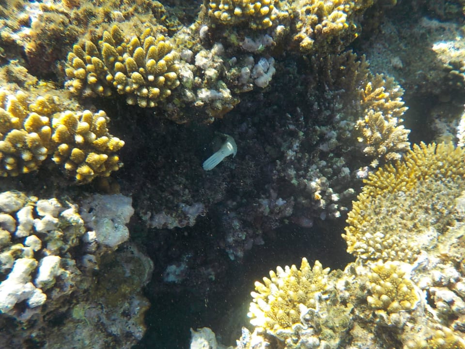 Riff Three Corners Equinox Beach Resort