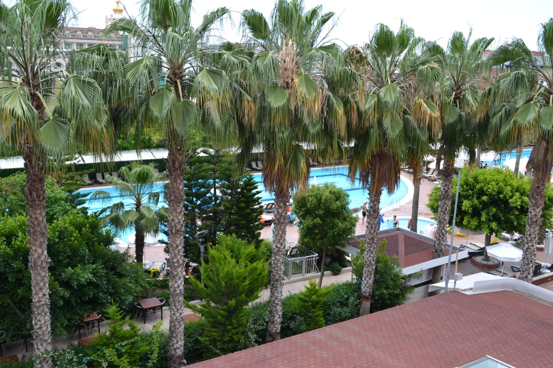 Pool Hane Family Resort