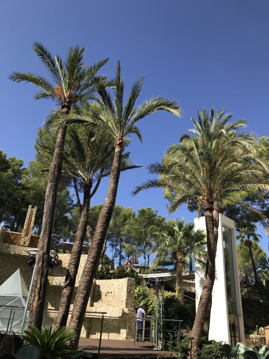 Gastro allsun Hotel Bella Paguera