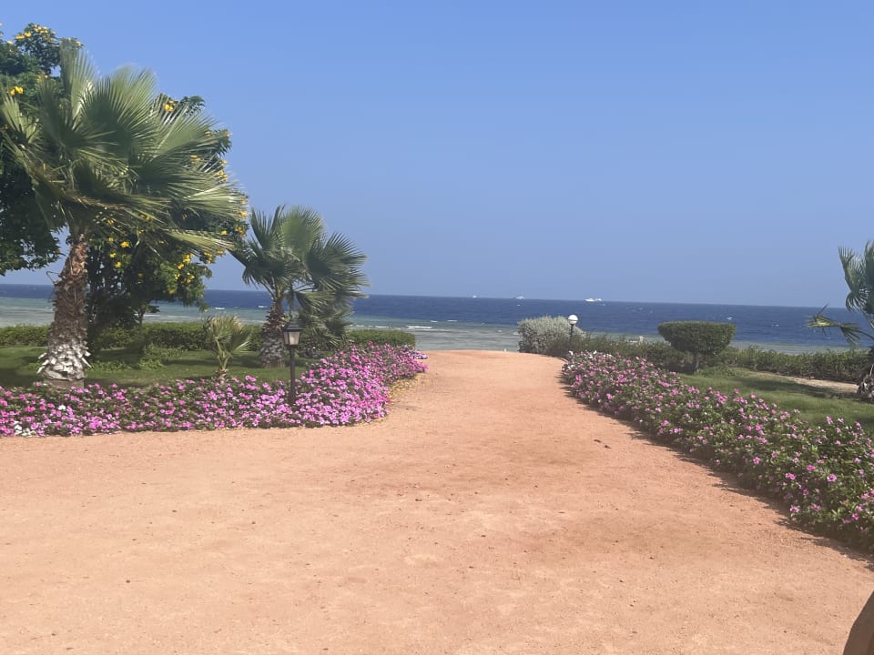 Gartenanlage Three Corners Equinox Beach Resort