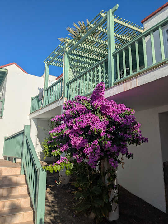 Gartenanlage Aldiana Club Fuerteventura