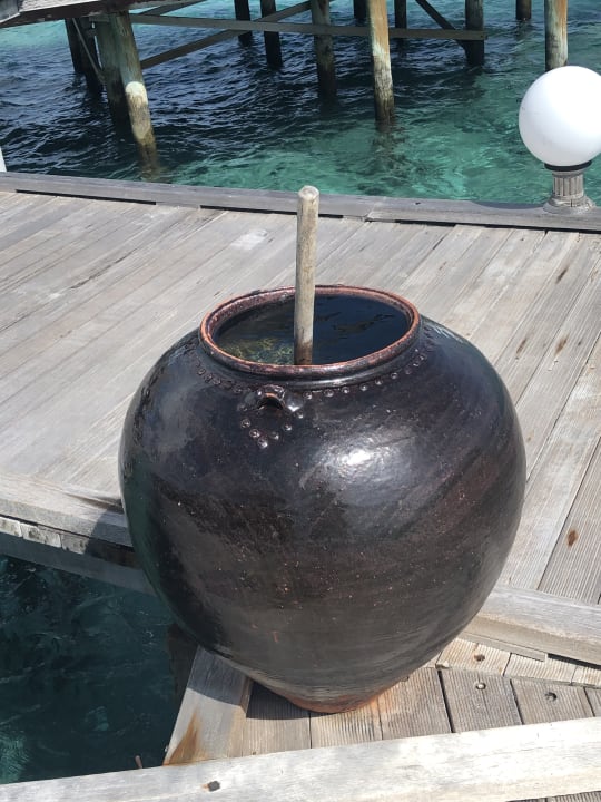 Sonstiges Angaga Island Resort