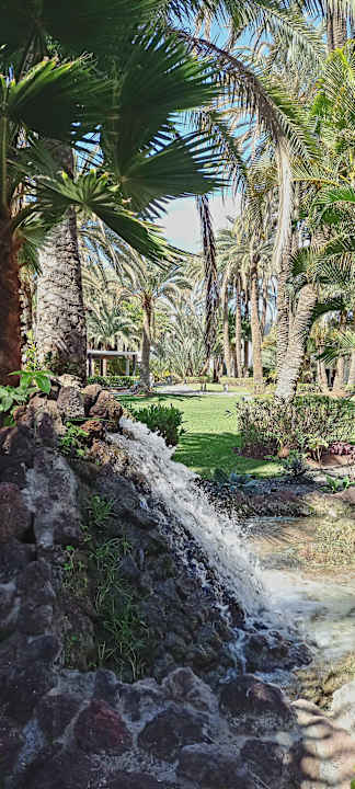 Gartenanlage Hotel Riu Palace Oasis