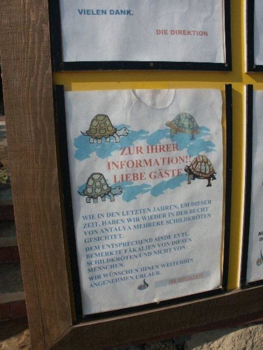 Lecker-da macht das Baden doch erst richtig Spaß. Hotel Defne Garden