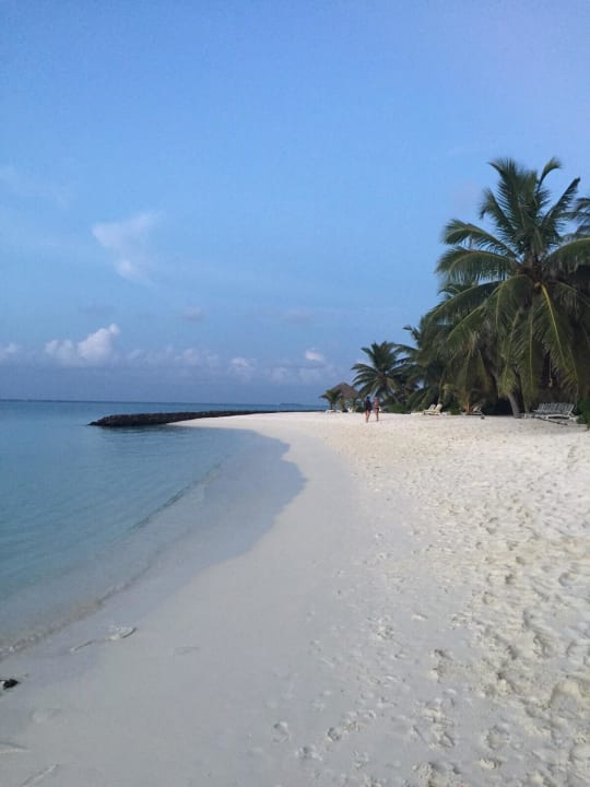 Strand Summer Island Maldives