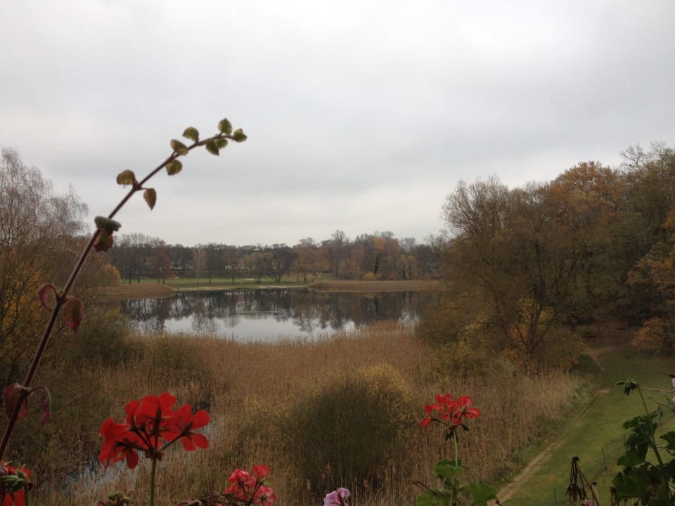 Seeblick im November Hotel & Spa Sommerfeld