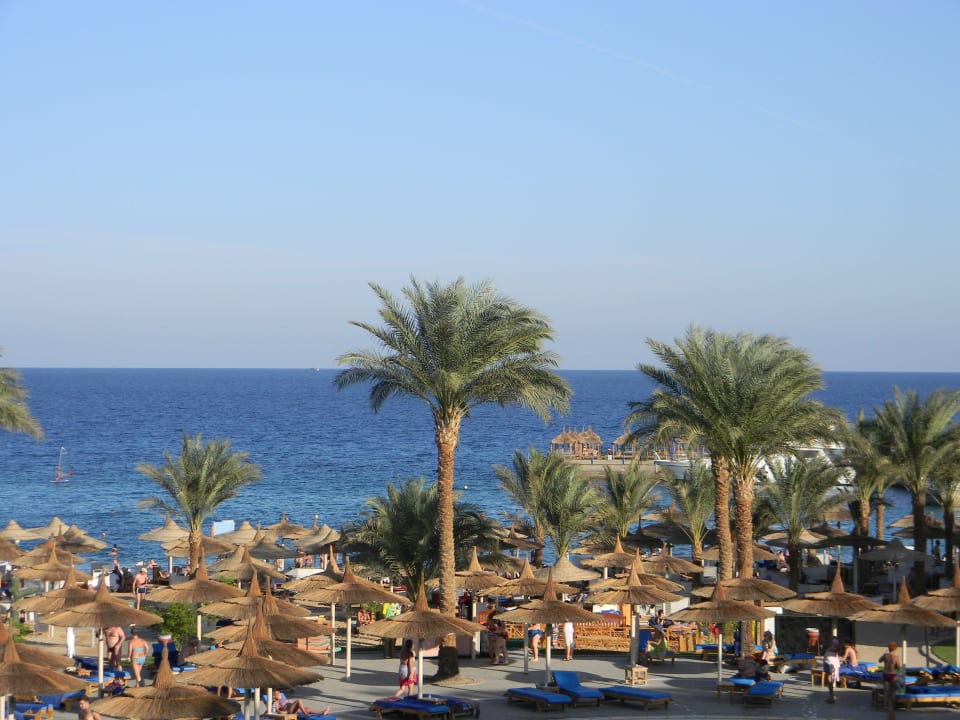 Вид из окна Beach Albatros Resort