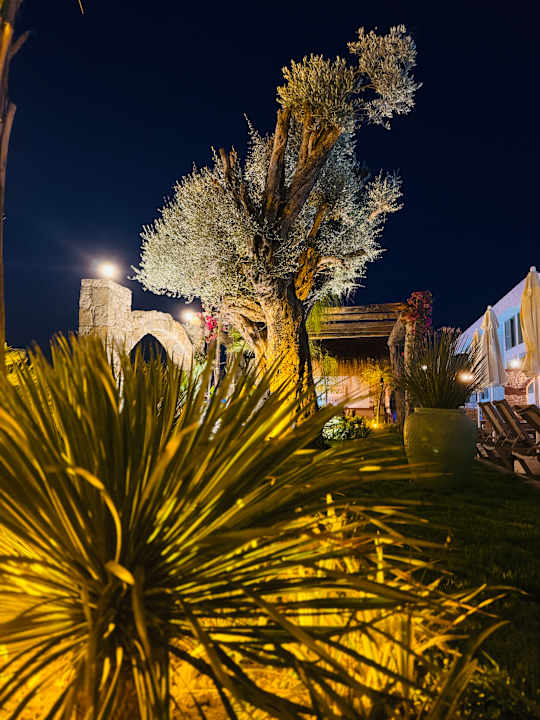 Außenansicht Dream Fun World