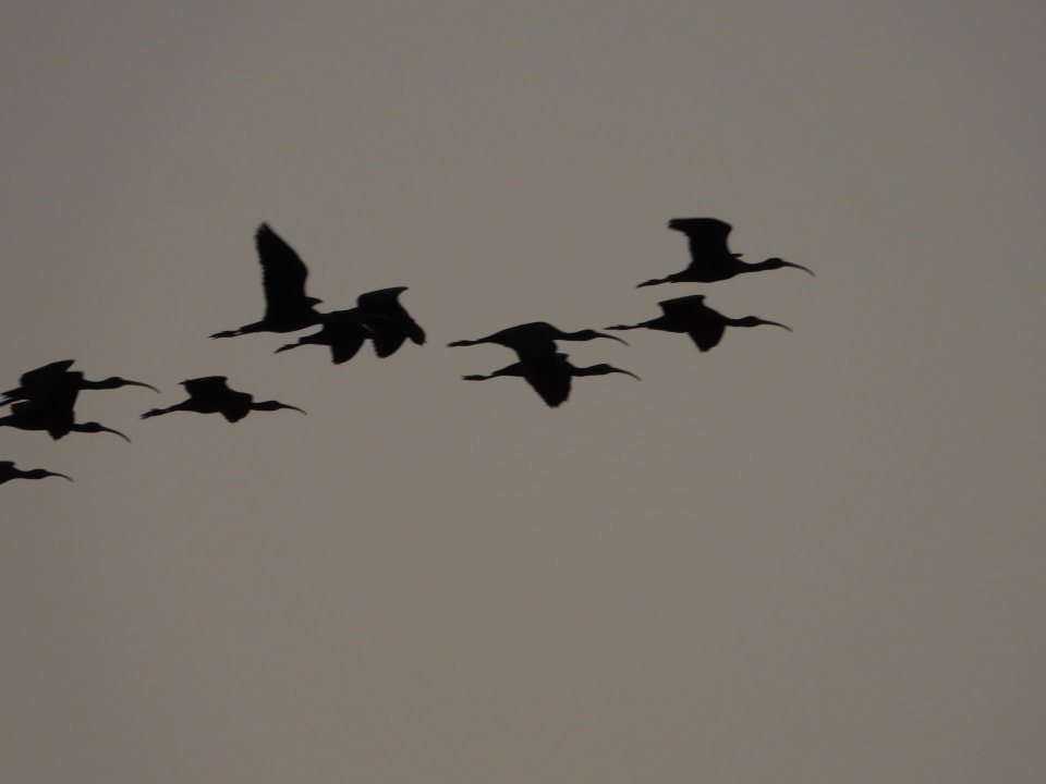 Gartenanlage Jolie Ville Kings Island Luxor