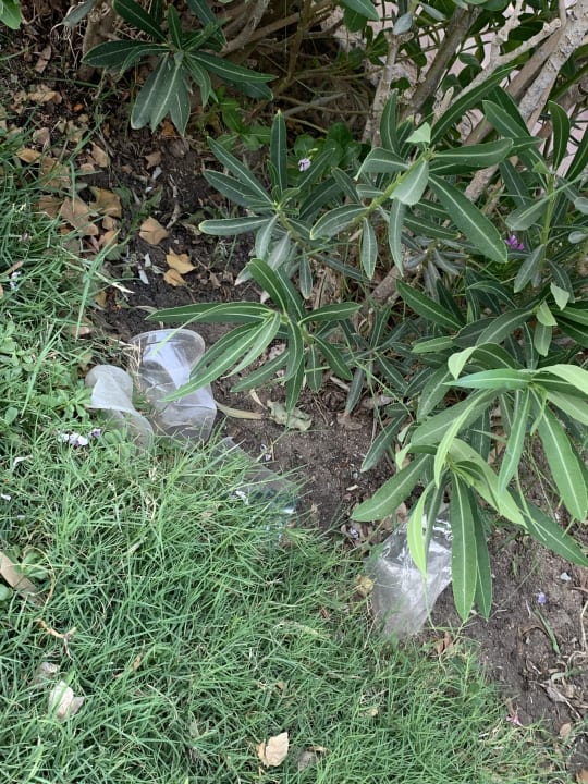 Gartenanlage Hurghada Long Beach Resort