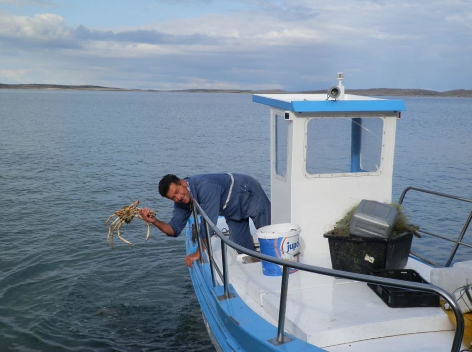 Augustino mit frischen Fisch Pension Augustino