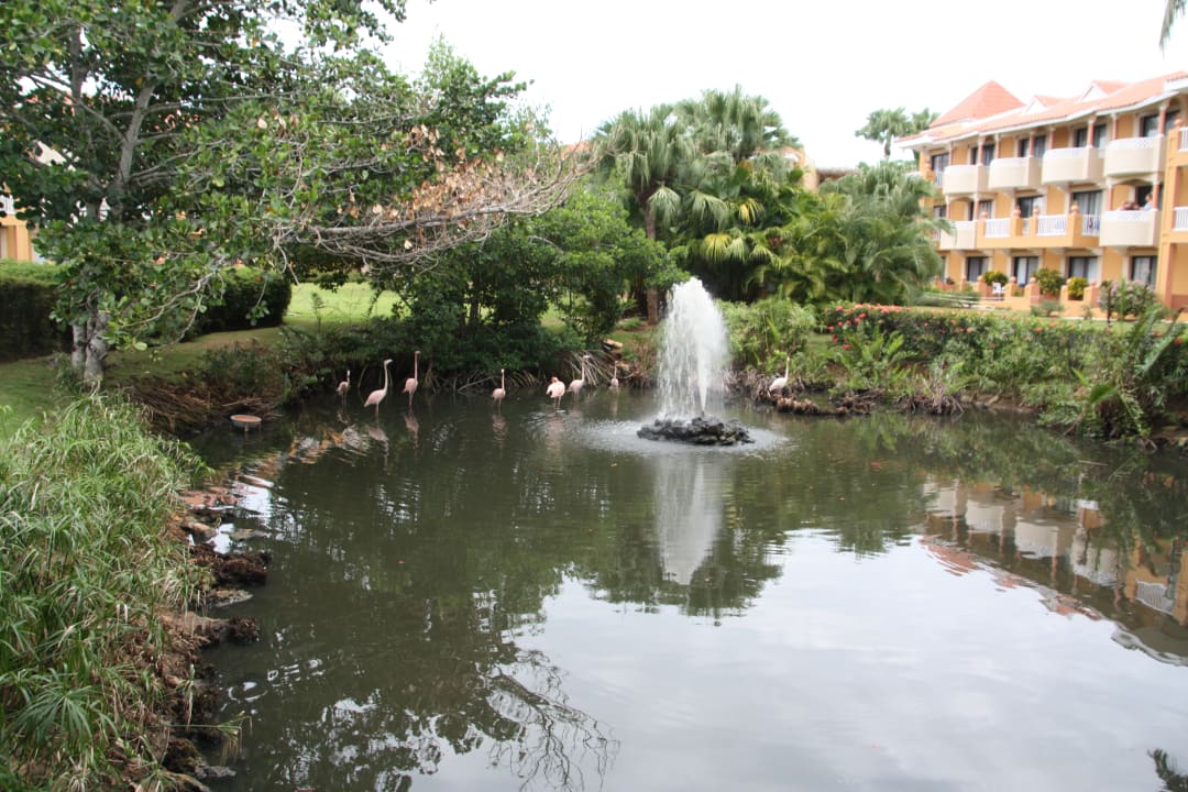 Gartenanlage Hotel Viva Dominicus Palace by Wyndham-All Inclusive Resort