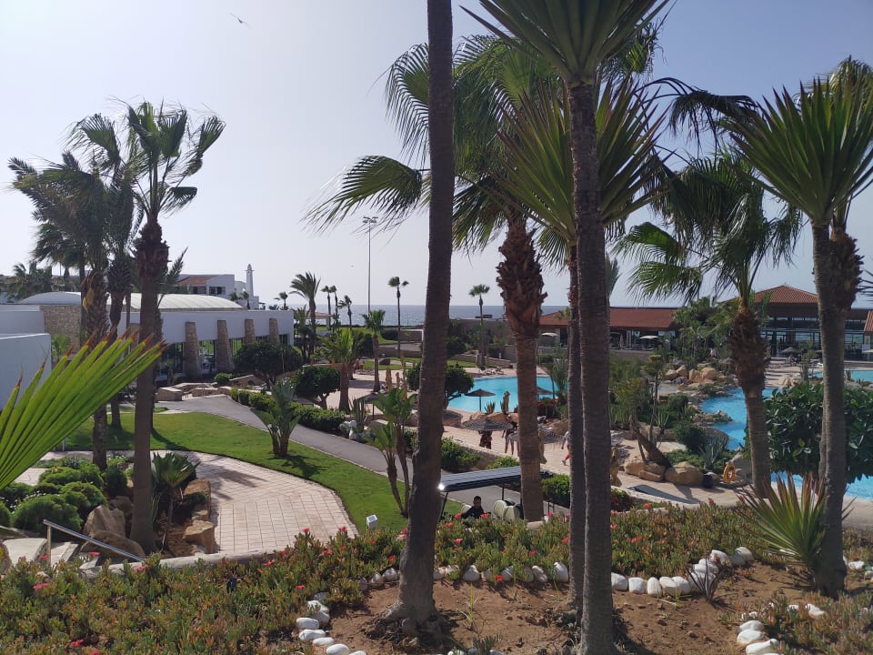 Gartenanlage Hotel Riu Tikida Dunas