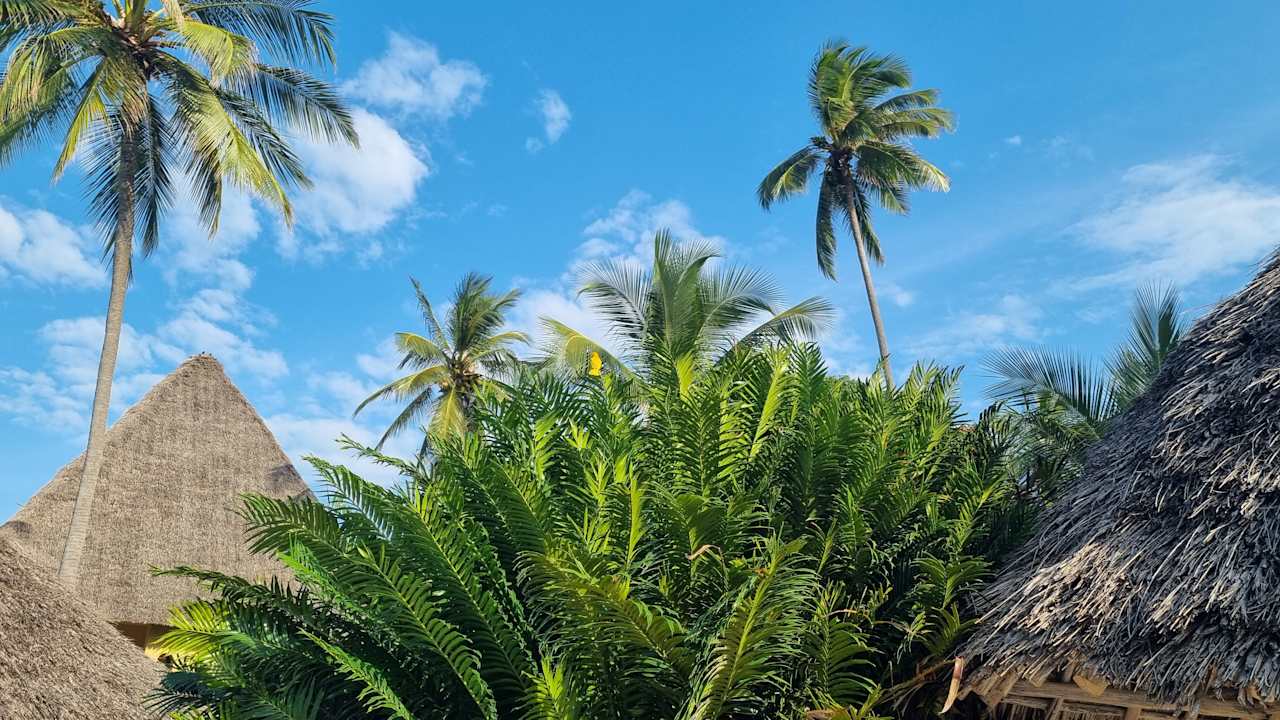 Pool Neptune Pwani Beach Resort & Spa