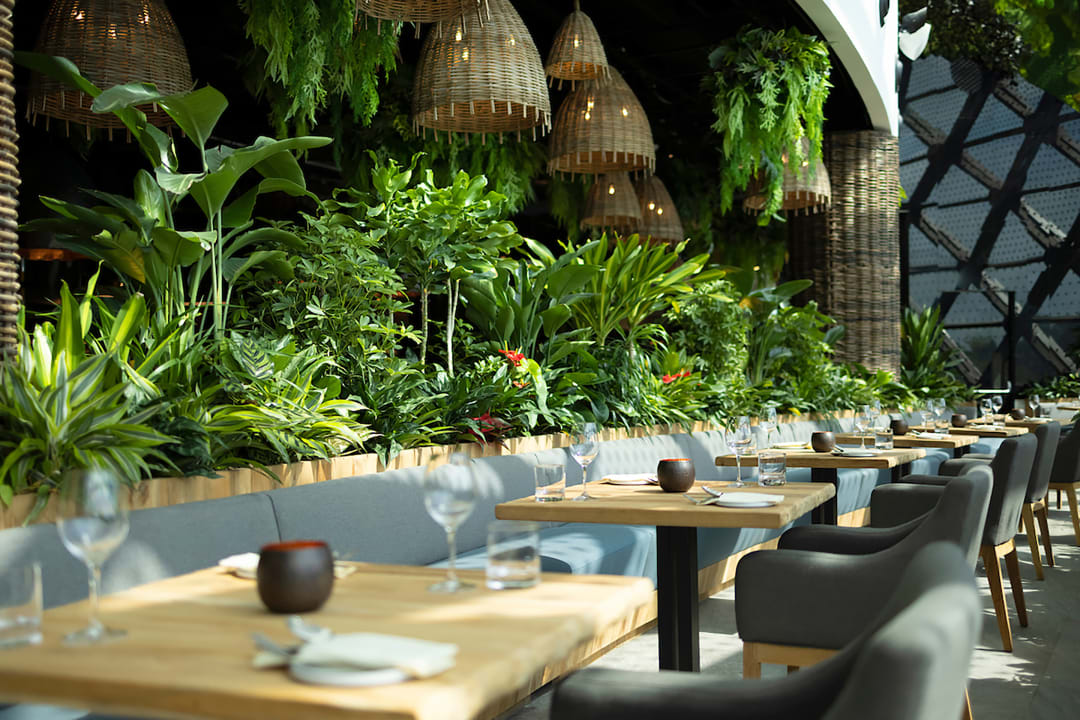 Gastro Dusit Thani Laguna Singapore