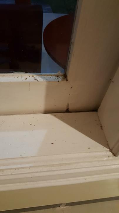 Zimmer Sylvia Hotel & Resort Komodo