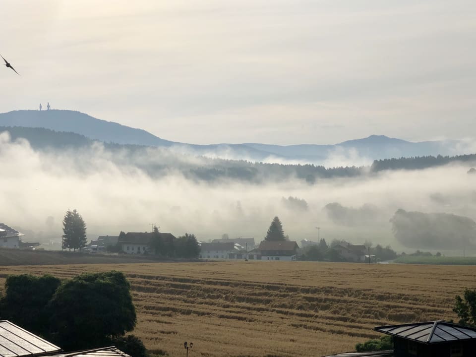 Ausblick Hotel Bayerwaldhof