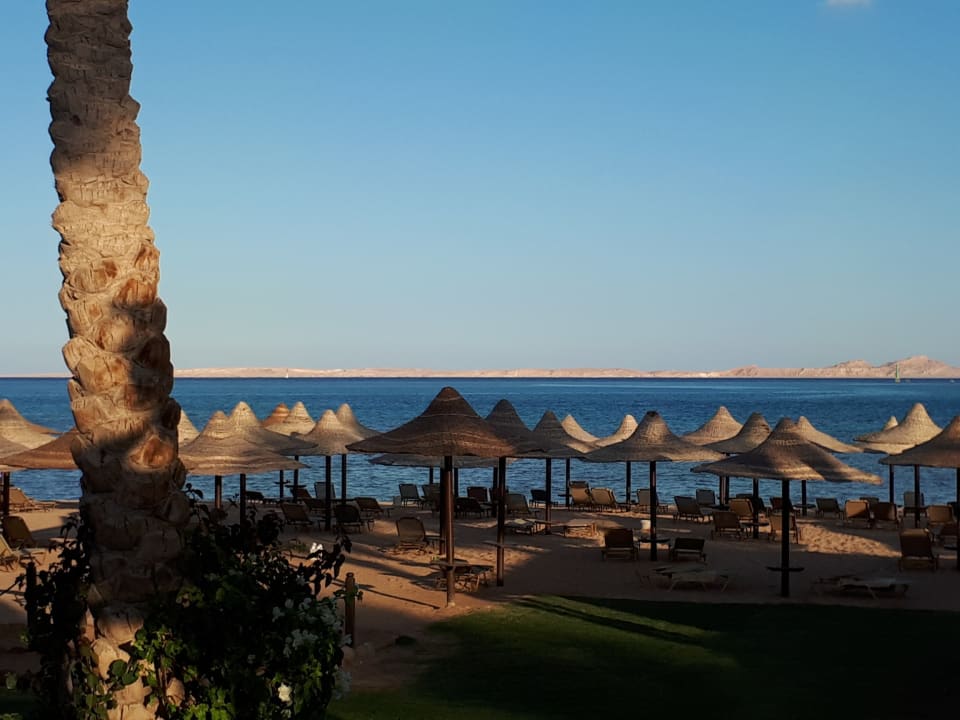Strand und rotes Meer JAZ Belvedere Resort