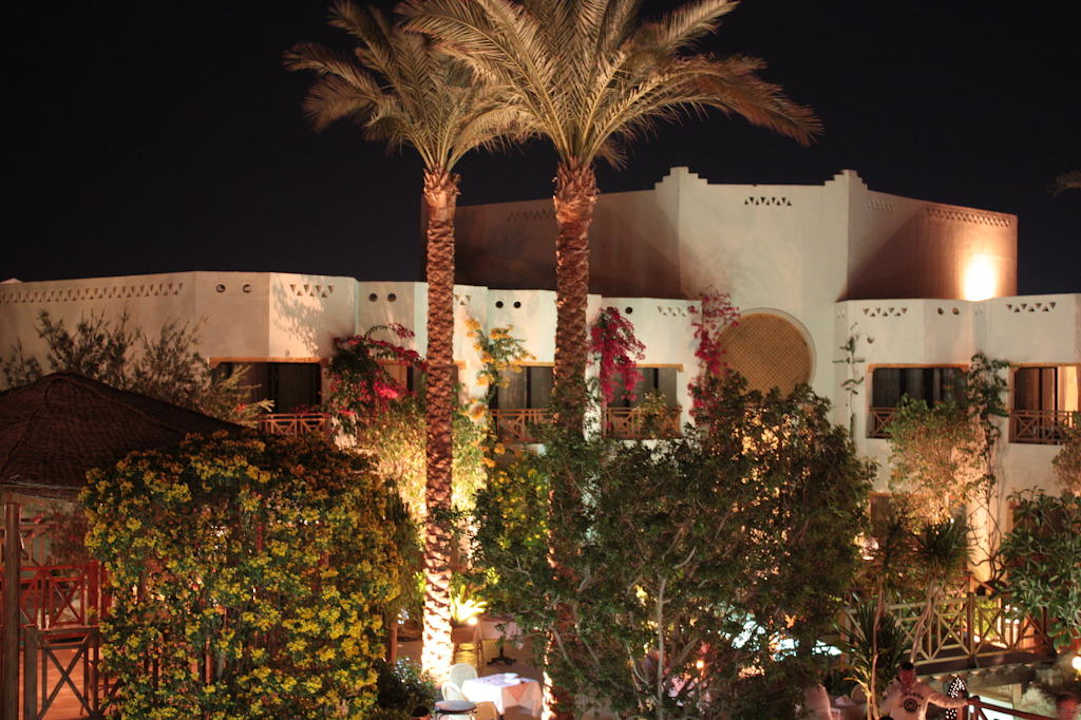 Abendstimmung Ghazala Gardens