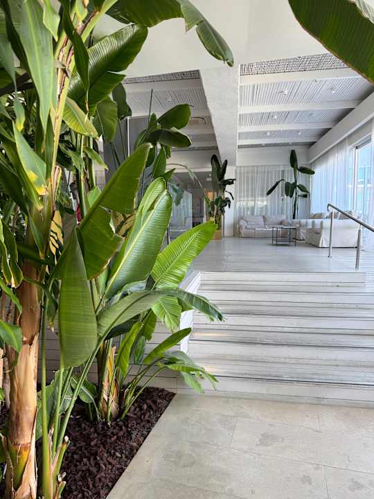 Lobby Knossos Beach Bungalows Suites Resort & Spa