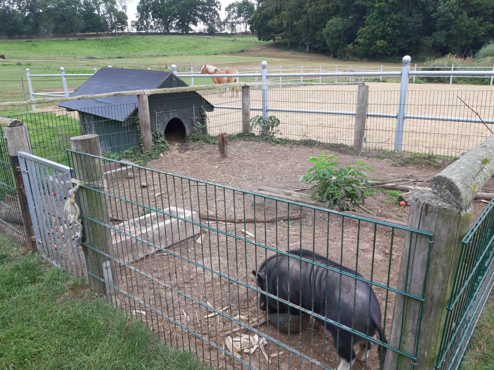 Außenansicht Ferien & Pferdehof Gut Klein Nienhagen