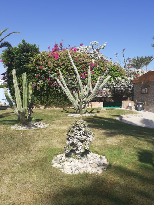 Gartenanlage Golden Beach Resort