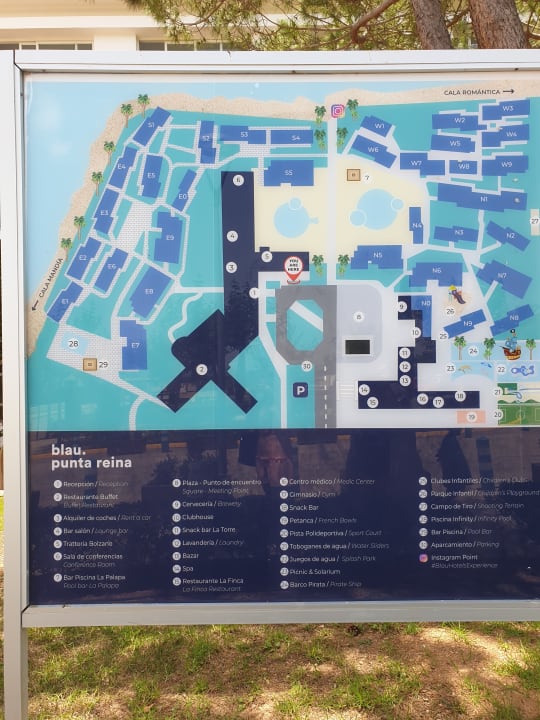 Sonstiges blau punta reina