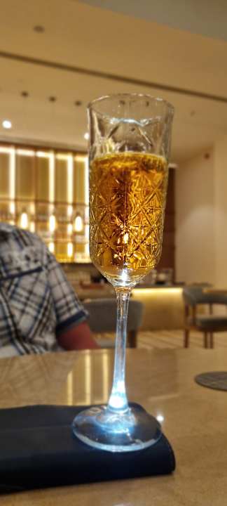 Gastro JAZ Elite Asteria