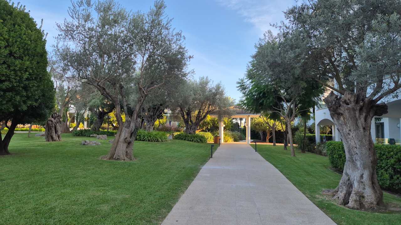 Gartenanlage Prinsotel La Dorada