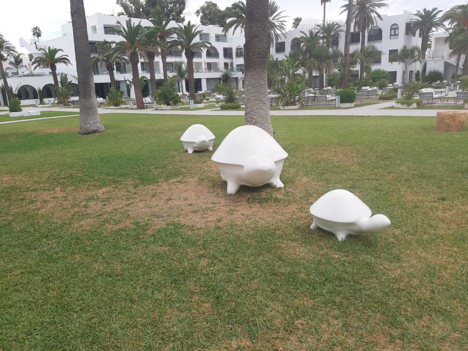 Außenansicht The Orangers Garden Villas & Bungalows