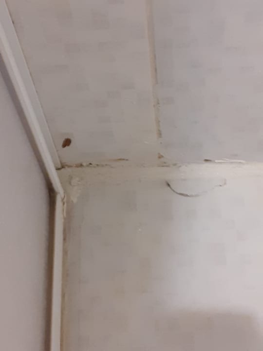 Zimmer Clover Magic Nova Beach