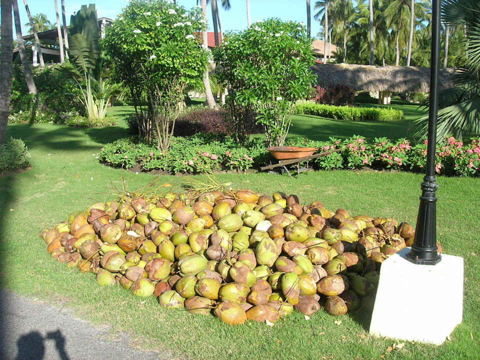 Hotel Grand Palladium Palace Resort, Spa & Casino Hotel Grand Palladium Palace Resort, Spa & Casino