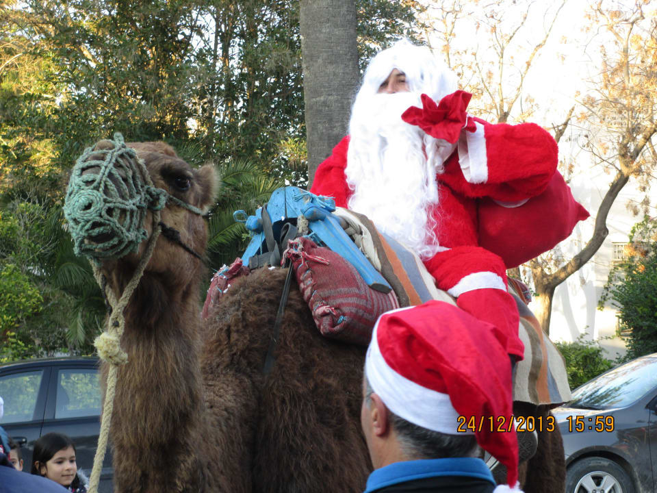 Hier kommt der Weihnachtsmann auf dem Kamel  The Orangers Beach Resort and Bungalows