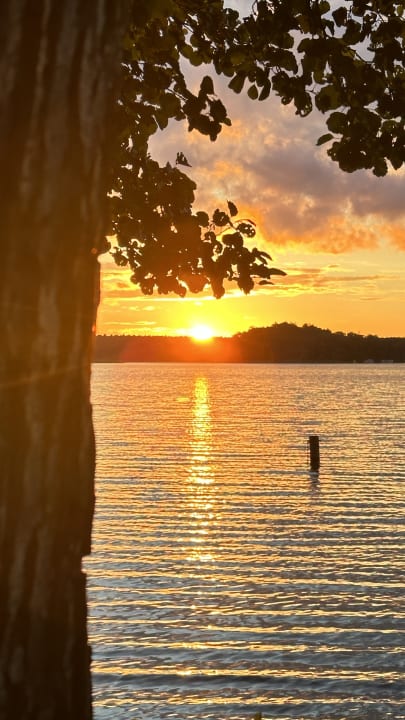Ausblick Precise Resort Hafendorf Rheinsberg