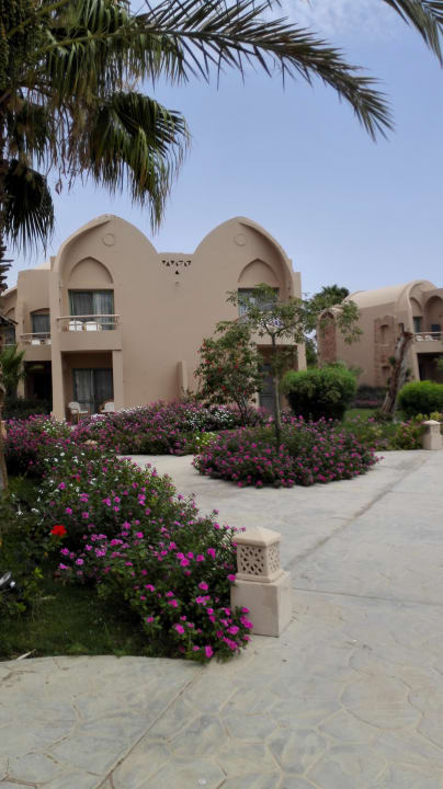 Gartenanlage Shams Alam Beach Resort