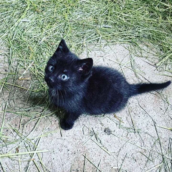 Sonstiges Ferienhof - Bauernhof Hefele