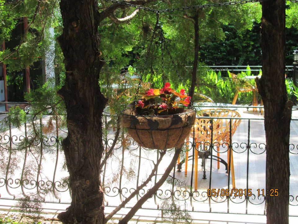 Man legt auch im Garten Wert auf Details Hotel Club Nena