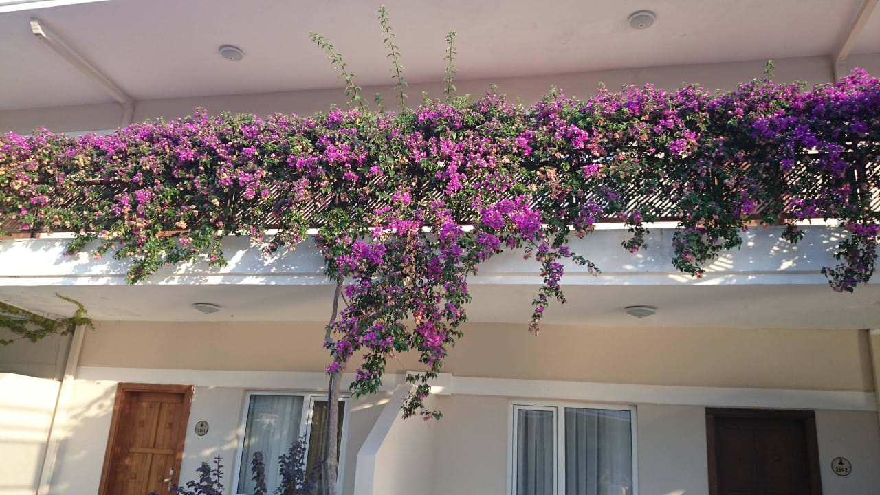 2 этаж зоны Гарден Club Marco Polo