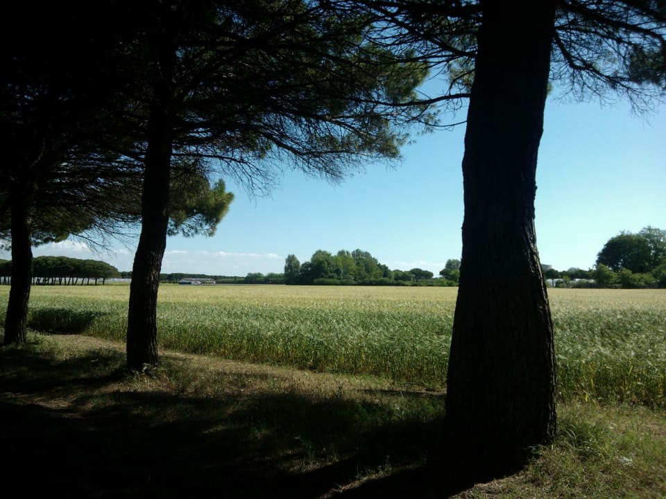 Sonstiges Hotel Golf