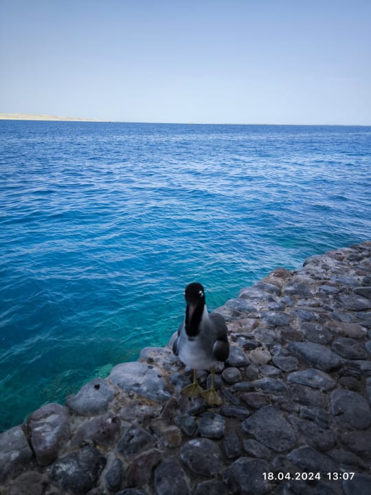 Außenansicht Arabella Azur Resort