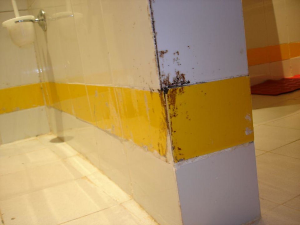 sanitaire chambre Hotel African Queen