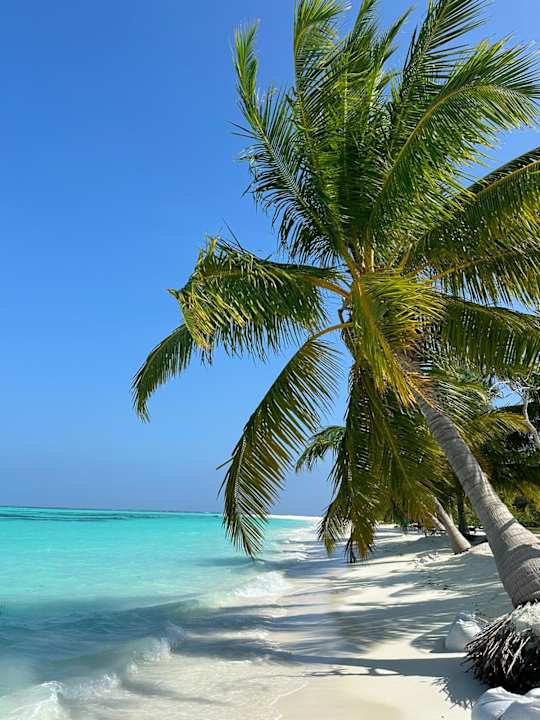 Strand Meeru Maldives Resort Island