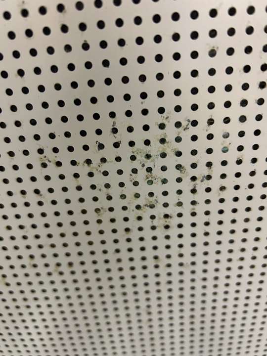 Zimmer AQI Pegasos World