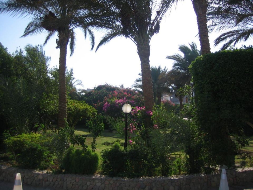 Hotelanlage Arabella Azur Resort