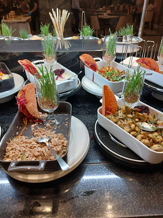 Gastro Seashell Vega