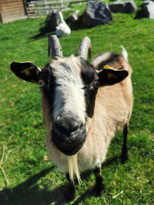 Gartenanlage Kinderhotel Felben